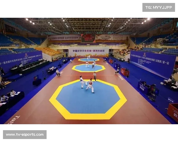 漯河跆拳道锦标赛新规出台 U14组禁止后旋踢击头加强青少年颈椎保护