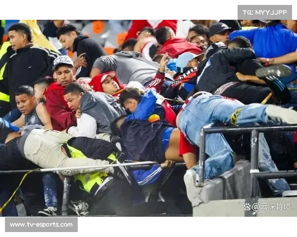 球迷冲突致比赛中断，警方逮捕12人