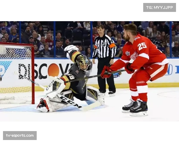 NHL常规赛，温哥华加人队不敌拉斯维加斯金骑士，太平洋区头名易主